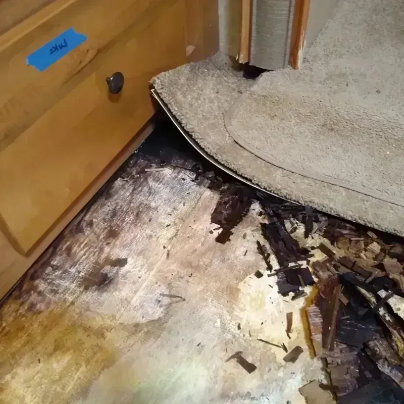 Wood Floor Water Damage in Hazel Crest, IL